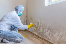 Mold Odor Removal Services in Hastings On Hudson, NY